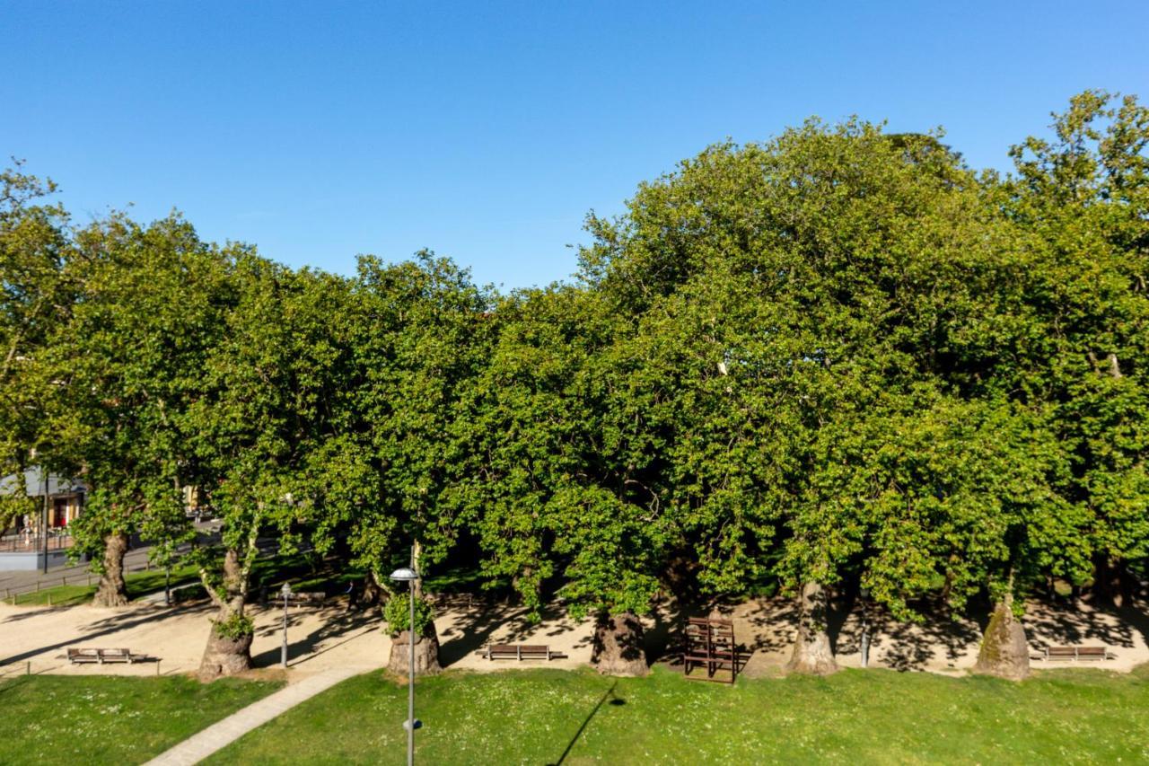 Tripas-Coracao, Cordoaria River View, Garden View Or Loft OOporto Exterior foto